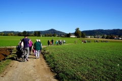 DSC08117_ergebnis