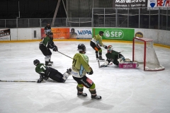 DSC01930_ergebnis
