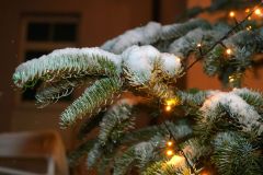 DSC00564_ergebnis