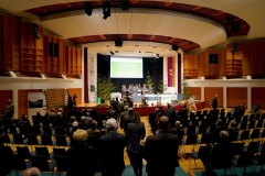 DSC00779_ergebnis