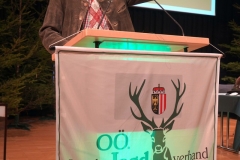 DSC00802_ergebnis