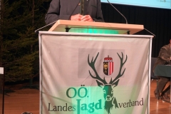 DSC00817_ergebnis