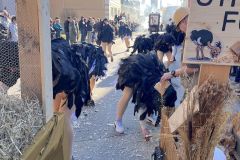 IMG_8687_ergebnis