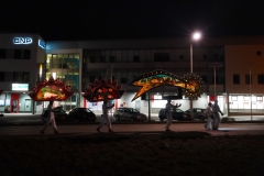 DSC02953_ergebnis