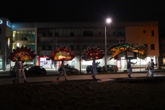 DSC02954_ergebnis