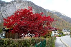 DSC06588_ergebnis