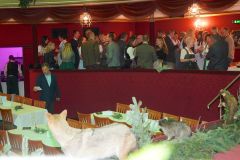 DSC00229_ergebnis