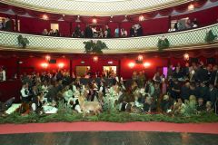 DSC00303_ergebnis