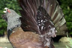 DSC00355_ergebnis