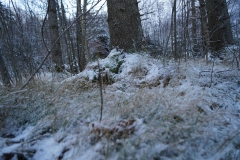 DSC02080_ergebnis