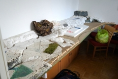 DSC00556_ergebnis