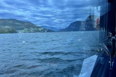 IMG_5452-2_ergebnis
