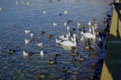 DSC02422_ergebnis