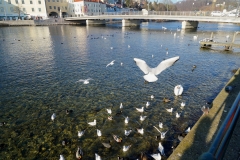 DSC02423_ergebnis