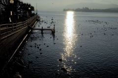 DSC02452_ergebnis