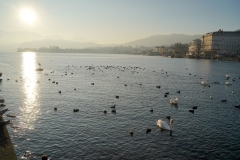 DSC02455_ergebnis