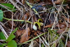 DSC02625_ergebnis