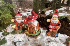 IMG_0825_ergebnis