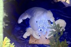 IMG_0826_ergebnis