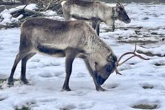 IMG_0832_ergebnis