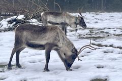 IMG_0833_ergebnis