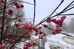 IMG_0870_ergebnis