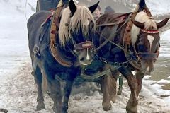 IMG_0871_ergebnis