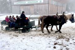 IMG_0872_ergebnis