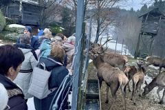 IMG_0885_ergebnis