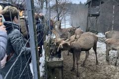 IMG_0886_ergebnis