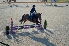 DSC07995_ergebnis