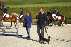 DSC08006_ergebnis