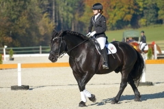 DSC08021_ergebnis