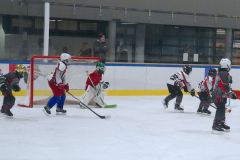 DSC00337_ergebnis