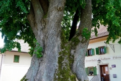 DSC09258_ergebnis