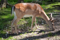 k-DSC04391