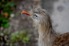 DSC01457_ergebnis