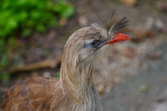 DSC01458_ergebnis
