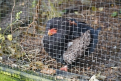 DSC01459_ergebnis
