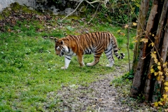 DSC01473_ergebnis