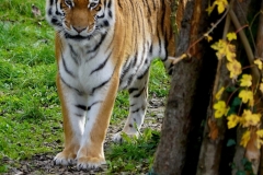 DSC01481_ergebnis