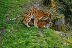 DSC01497_ergebnis
