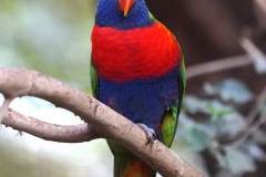 DSC01509_ergebnis